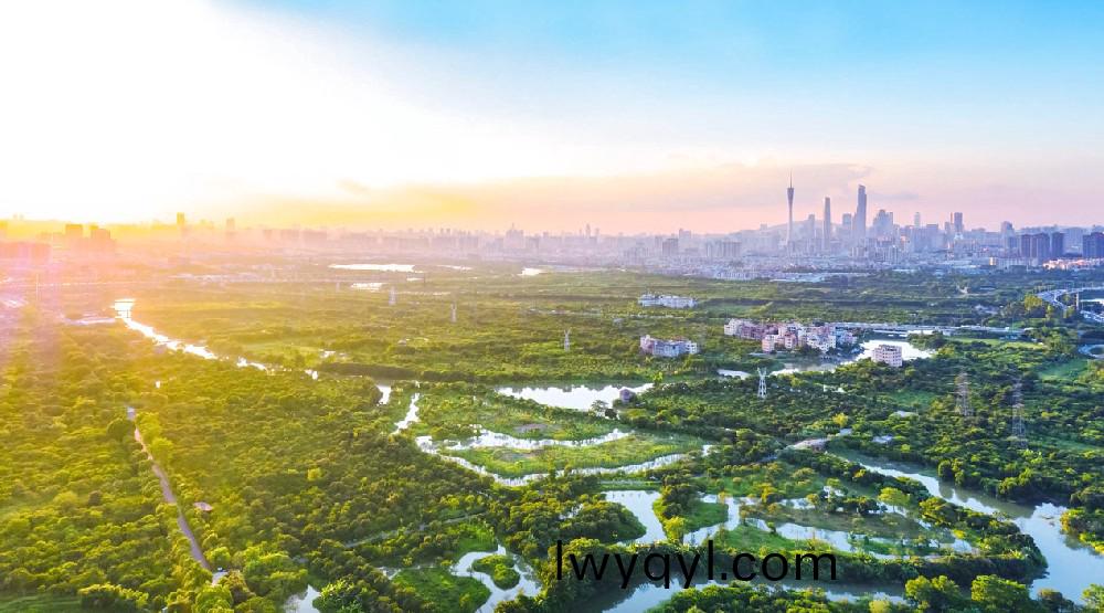 ?爲民(min)打(da)造城市(shi)綠(lv)洲(zhou)